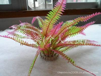 【【批发供应】鱼缸工艺品 塑料水草 观赏水族水草 水草 假鱼草】价格,厂家,图片,其他水族器材,福州市台江区心安花艺店-