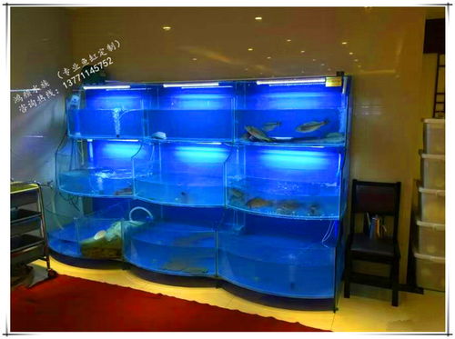 报价 供应商 图片 崇安区鸿颜水族器材经营部