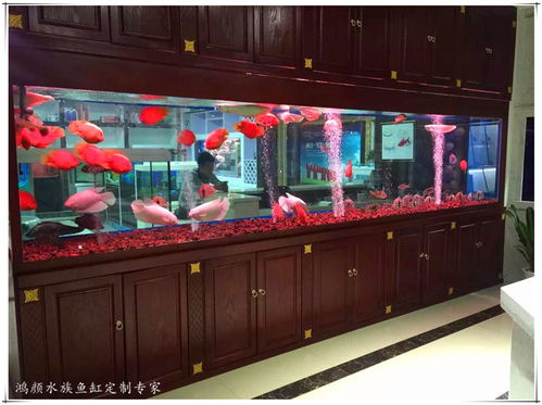 报价 供应商 图片 崇安区鸿颜水族器材经营部