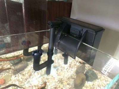 柳州市鱼峰区海风观赏鱼店 专业水族器材与服务