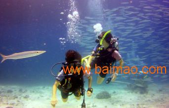 厦门潜水培训与海沧潜水培训公司 优质水族器材的选择