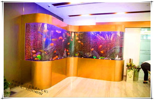 崇安区鸿颜水族器材经营部水族器材报价与供应商服务