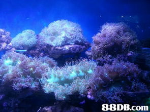 水族物语与海洋物语 专业鱼缸设计保养与器材一站式服务